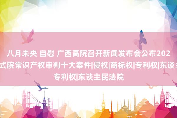 八月未央 自慰 广西高院召开新闻发布会公布2023年广西式院常识产权审判十大案件|侵权|商标权|专利权|东谈主民法院