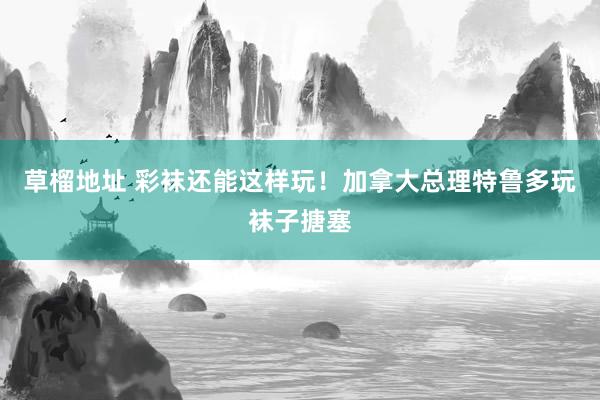 草榴地址 彩袜还能这样玩！加拿大总理特鲁多玩袜子搪塞