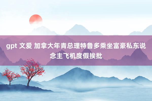 gpt 文爱 加拿大年青总理特鲁多乘坐富豪私东说念主飞机度假挨批