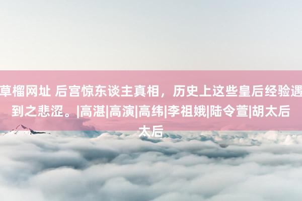 草榴网址 后宫惊东谈主真相，历史上这些皇后经验遇到之悲涩。|高湛|高演|高纬|李祖娥|陆令萱|胡太后
