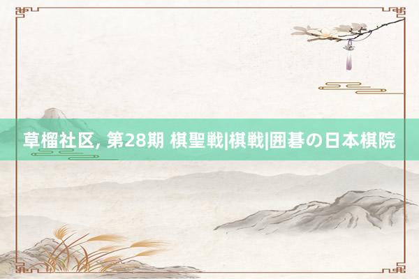 草榴社区, 第28期 棋聖戦|棋戦|囲碁の日本棋院
