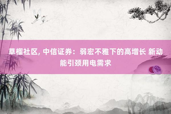 草榴社区， 中信证券：弱宏不雅下的高增长 新动能引颈用电需求