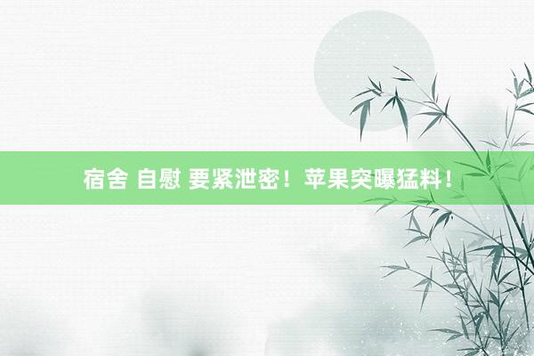 宿舍 自慰 要紧泄密！苹果突曝猛料！