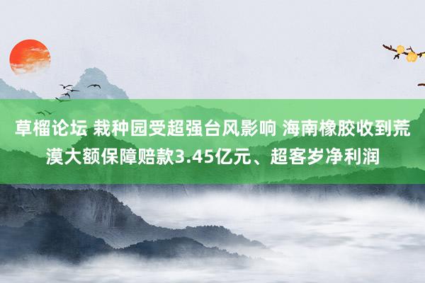 草榴论坛 栽种园受超强台风影响 海南橡胶收到荒漠大额保障赔款3.45亿元、超客岁净利润