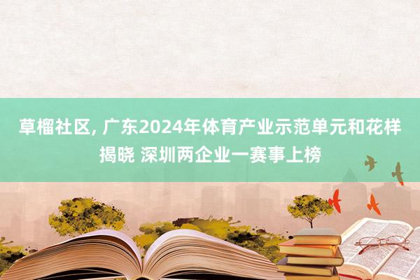 草榴社区， 广东2024年体育产业示范单元和花样揭晓 深圳两企业一赛事上榜