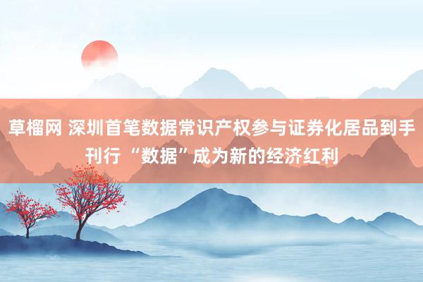 草榴网 深圳首笔数据常识产权参与证券化居品到手刊行 “数据”成为新的经济红利
