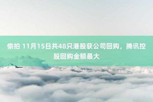 偷拍 11月15日共48只港股获公司回购，腾讯控股回购金额最大