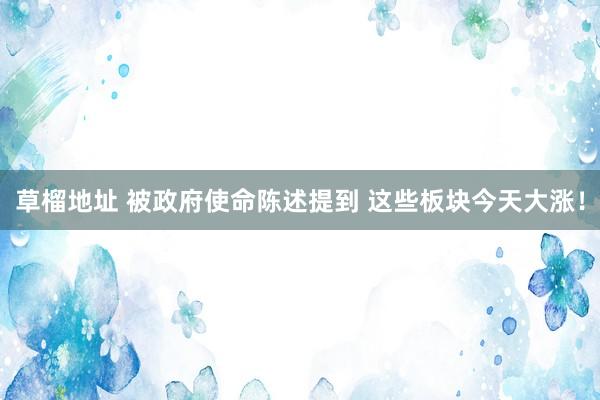 草榴地址 被政府使命陈述提到 这些板块今天大涨！