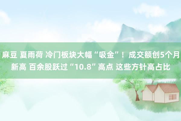 麻豆 夏雨荷 冷门板块大幅“吸金”！成交额创5个月新高 百余股跃过“10.8”高点 这些方针高占比