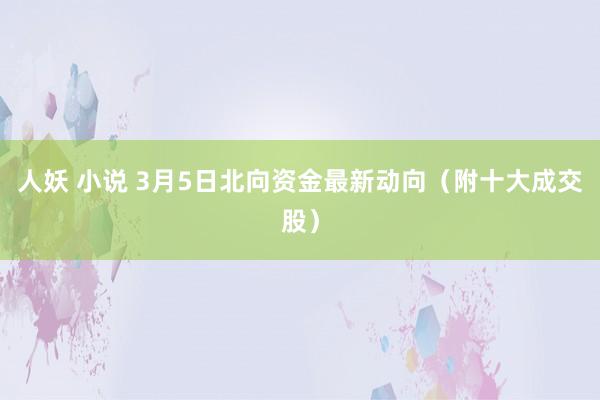 人妖 小说 3月5日北向资金最新动向（附十大成交股）