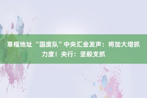 草榴地址 “国度队”中央汇金发声：将加大增抓力度！央行：坚毅支抓