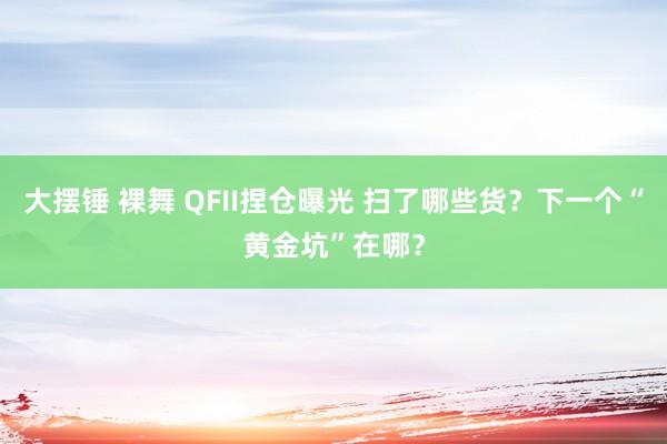 大摆锤 裸舞 QFII捏仓曝光 扫了哪些货？下一个“黄金坑”在哪？