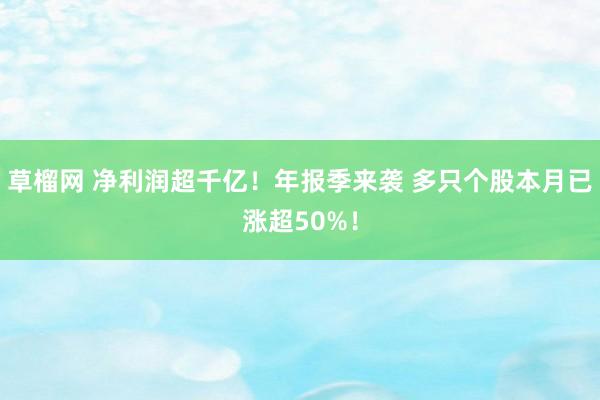草榴网 净利润超千亿！年报季来袭 多只个股本月已涨超50%！