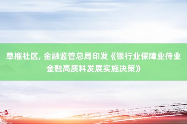 草榴社区， 金融监管总局印发《银行业保障业待业金融高质料发展实施决策》