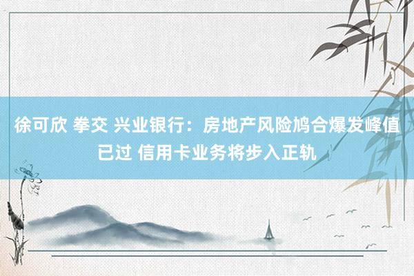徐可欣 拳交 兴业银行：房地产风险鸠合爆发峰值已过 信用卡业务将步入正轨
